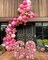 Pink Balloons Set,60pcs 12 inch Metallic Pearl Pink(Multiple Pink)